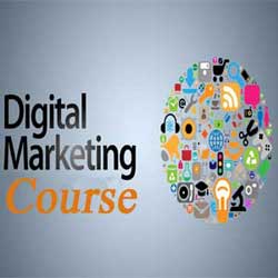 Digital Marketing Training Institue in Jaipur